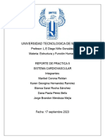 Practica 5. Sistema Cardiovascular