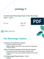 CP5 - 5 - Neurological System P1