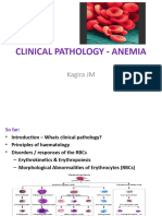 Lecture 2 - Clinical Pathology - Anemia