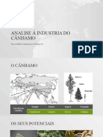 Apresentação Da Analise Ao Mercado Do Cânhamo