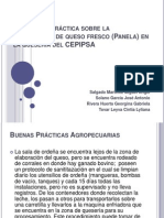 Informe de Práctica Sobre La Elaboración de Queso