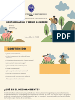 Contaminación y Medio Ambiente