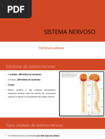 Sistema Nervoso Corrigido