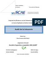 Audit de La Tresorerie