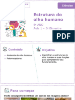 Estrutura Do Olho Humano: 6º ANO Aula 1 - 3º Bimestre