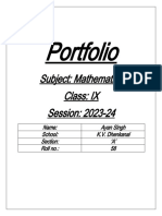 Portfolio