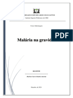 Malaria Na Gravidez