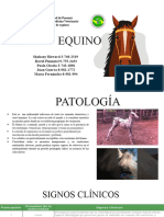 Tétano - Lab de Equinos