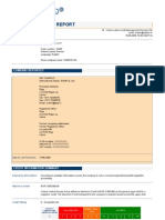 Credit Analysis Report