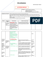 Le Système Nerveux Fiche Pédag WWW