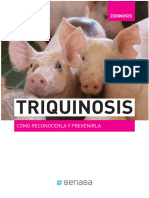 Triquinosis