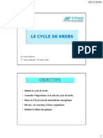 Chapitre 4.3 - Le Cycle de Krebs