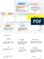 Mapa Conceptual de Fractura