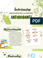 Alimentos Antioxidantes.