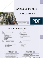 Analyse de Site (Telemly)