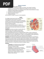 Sistema Circulatorio