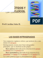 Nucleotidos y Ac