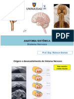 Sistêmica Nervoso (Parte I) - Aula05