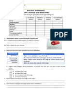 BRJ Key Muscle & Breathing