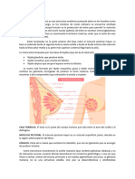 Anatomia de La Mama