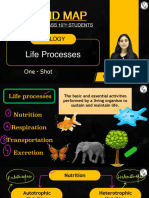 Life Processes - Class Notes - Mind Map - Class 10th