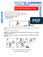 Ejercicios de Respiracion para Quinto de Primaria