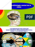 Clase17 El Ojo III Neurofisiologia Central de La Vision