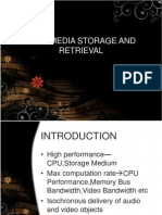 Multimedia Storage and Retrieval