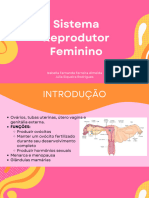 Sistema Reprodutor Feminino