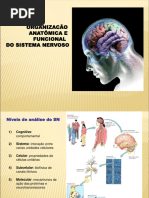 Organizacao Anatomica Do Sistema Nervoso