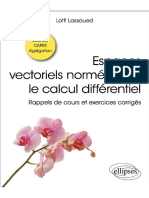 Espace Vectoriel Norme Pour Calcul Differentiel