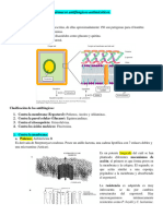 Fármacos Antifúngicos