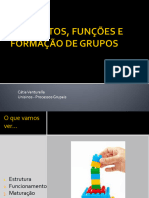 Elementos Funcoes Grupos