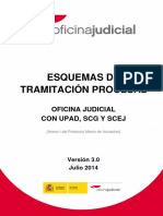 Esquemas de Tramitacion Procesal