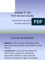 Sistemas de relación-Nervioso-Power Point