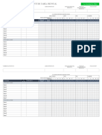 IC Monthly Task Gantt Chart 27455 - WORD - ES