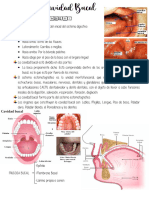 Cavidad Bucal Histologia Unc 2021