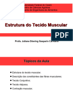 Aula Estrutura Muscular