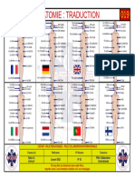 Anatomie - Traduction