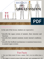 Human Organ System