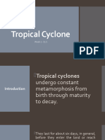 Tropical Cyclone