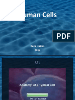 Human Cell Types