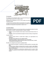 UT2 La Jornada Laboral, Salario y La Extinción Del Contrato