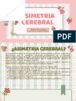 Asimetria Cerebral