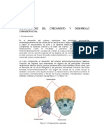 Generalidades Del Crecimiento Y Desarrollo Craneofacial: Capítulo I