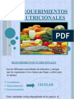 3 Requerimientos Nutricionales