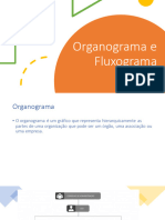 Organograma e Fluxograma