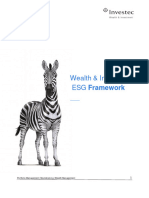 WI SA ESG Framework 2020