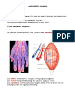 Trace C3a9crite Circulation Sanguine