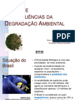 Impactos e Biodiversidade